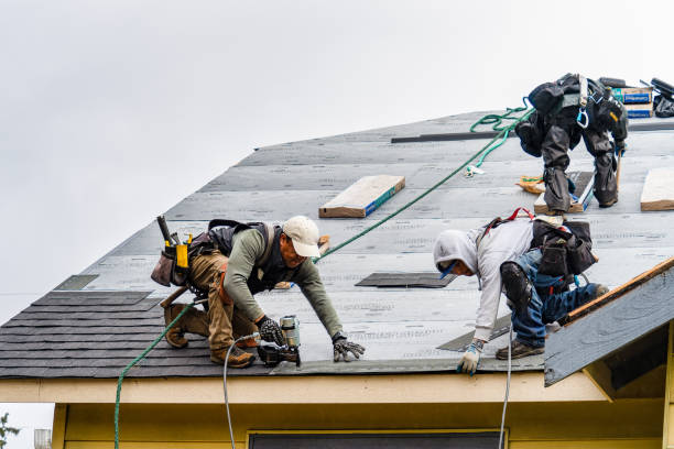 Professional Roofing technician working in Elk River, ID